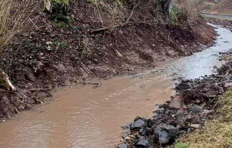 Riedbach 1_Bauabschnitt 1 Alte Straße - Sohlverbreiterung im rechten Ufer