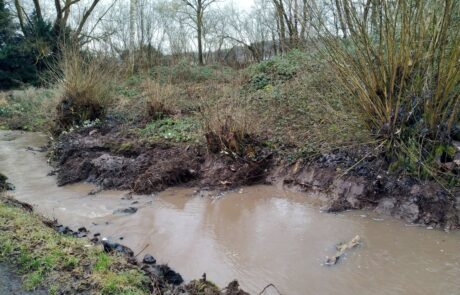 Riedbach 5_Bauabschnitt 1 Alte Straße - Anlage von Böschungen mit variabler Neigung
