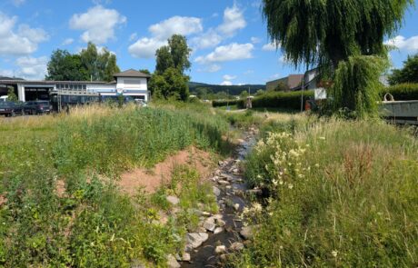 Riedbach – Alte Straße nachher – Entfernung Uferbefestigung, Anlage geschwungener Lauf Riedbach - Alte Straße nachher - Entfernung Uferbefestigung, Anlage geschwungener Lauf