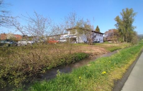 Riedbach – Alte Straße vorher – Lauf gestreckt Riedbach - Alte Straße vorher - Lauf gestreckt