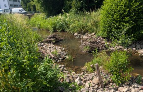 Riedbach – Königsberger Straße nachher – Totholz, Kolke Ein kleiner Bach mit Steinen und Uferbewuchs