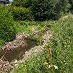Riedbach - Königsberger Straße nachher - naturnahe Sohlgleite