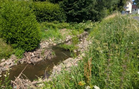 Riedbach – Königsberger Straße nachher – naturnahe Sohlgleite Riedbach - Königsberger Straße nachher - naturnahe Sohlgleite