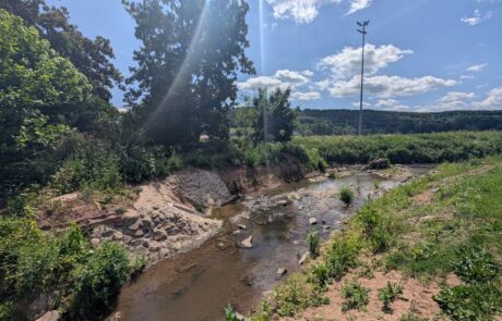 Riedbach – Mündung nachher – Aufweitung Mündungsbereich, Einbau Totholz Riedbach - Mündung nachher - Aufweitung Mündungsbereich, Einbau Totholz