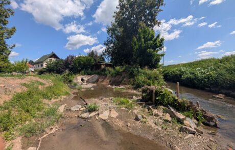 Riedbach – Mündung nachher – Uferabflachung, Anlage Mündungsdelta Riedbach - Mündung nachher - Uferabflachung, Anlage Mündungsdelta