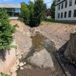 Riedbach - Schwimmbad nachher - naturnahe Sohlgleite, flachere Ufer