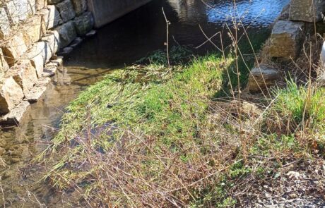 Grüsselbach – Bauwerk 1 nach der Umsetzung Grüsselbach - Bauwerk 1 nach der Umsetzung