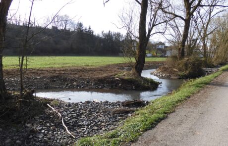 Grüsselbach – geschwungerner Bachlauf, vorher geradlinig Grüsselbach - geschwungerner Bachlauf, vorher geradlinig