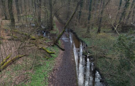 Hainbach - Befestigter Gewässerlauf am Schäferbornweg