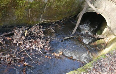 Hainbach - Durchlass_defekt