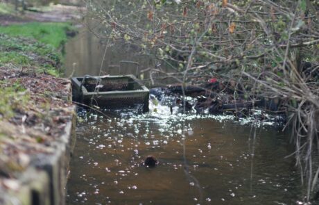 Hainbach - Löschwasserentnahme
