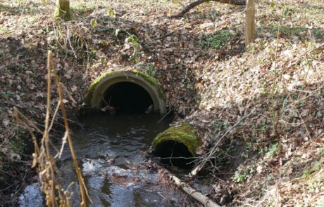 Hainbach - Rohrduchlass