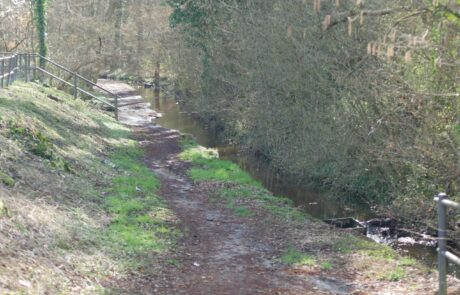 Wanderweg entlang eines kleinen Gewässers in der Natur