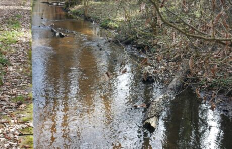 Hainbach - Uferverbau_2