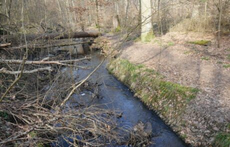 Hainbach - Uferverbau_3