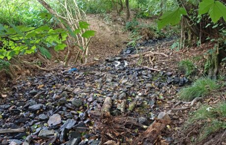 Bachbett mit Steinen und Laub im Wald