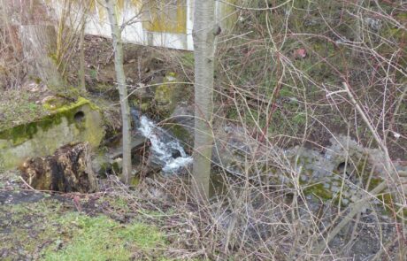 Strassbach - Hindernis mit Absturz