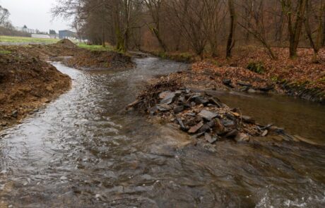 Dietzhölze – Renaturierter Gewässerabschintt 2 Ein kleiner Fluss fließt durch einen herbstlichen Wald