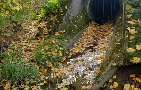 Dießenbach – Einleitstelle, Butzbach Dießenbach - Einleitstelle, Butzbach