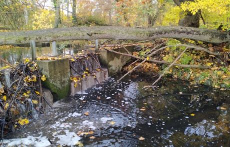 Brenderwasser - Wehr des Schlossteichs in Sickendorf