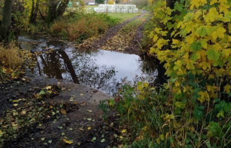 Brenderwasser - Befestigte Furt unterhalb von Sickendorf