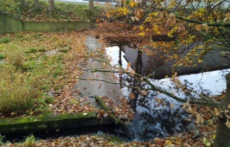 Brenderwasser - Altes Wehr mit anschließender Massivsohle sowie ehemaliger Mühlgraben in Heblos