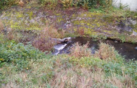 Brenderwasser - Kleiner Absturz und Uferverbau auf Höhe des alten Güterbahnhofs Lauterbach