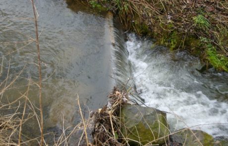 Goldbach - Absturz unterhalb Maden