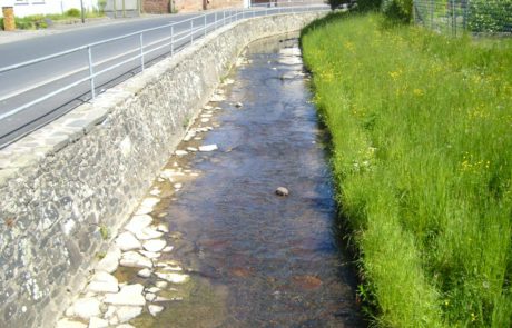 Laisbach - Befestigtes Gewässerprofil in Bellmuth (FIS Wanda)