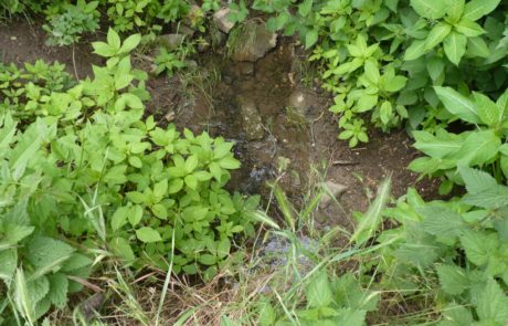 Hamstergraben - Zustand im Sommer, kaum Wasser