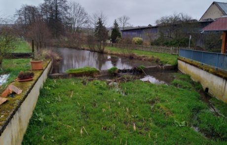 Laisbach - Teich im Hauptschluss