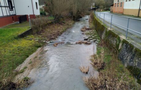Laisbach – Uferverbau Ein kleiner Fluss fließt entlang einer Straße und Wiesen
