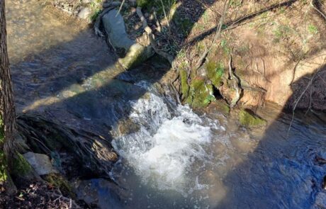 Ohlebach – Kleiner Absturz Bach mit Wasserfall und umgebenden Bäumen im Wald