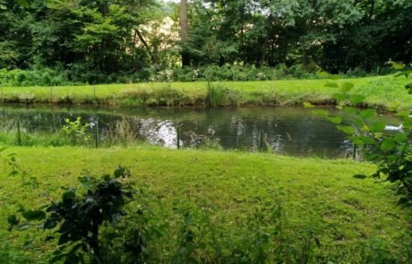 Osterbach – Teichanlage im Nebenschluss im Verlauf des Osterbachs
