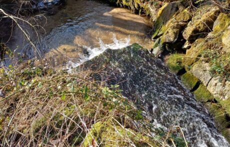 Hahnwiesenbach – Sohlverbau Uferbefestigung und Absturz Hahnwiesenbach - Sohlverbau Uferbefestigung und Absturz