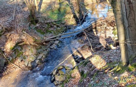 Hahnwiesenbach – Wanderhindernis mit Sohlverbau und Uferbefestigung Klares Wasser fließt durch einen bewaldeten Bachlauf