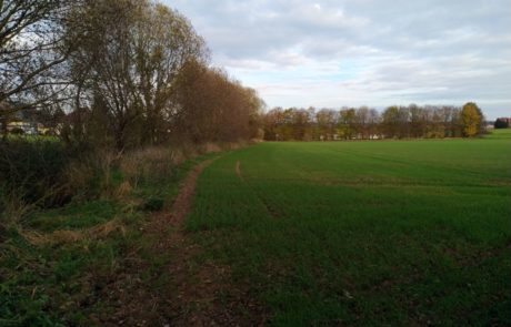 Suderbach – Gradliniger Verlauf des Bachs oberhalb des Sportplatzes, Grebenstein