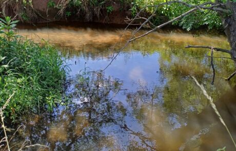Bachlauf mit Ufervegetation und spiegelndem Wasser