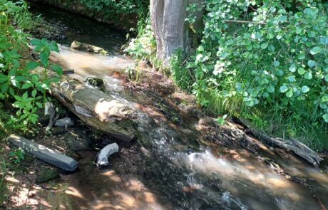 Eitra - Sohlschwelle oberhalb der Ortslage Bodes