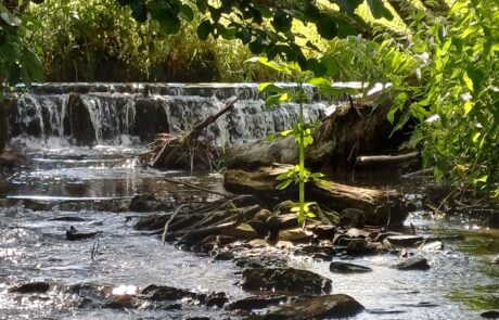 Eitra - Wehr der Mühle in Bodes