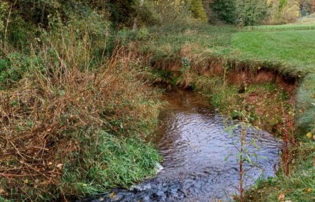 Eitra - Uferabbruch an eingetiefter Stelle des Bachbetts