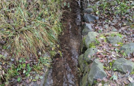 Seulbach - Massivsohlenabschnitt