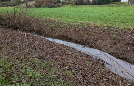 Seulbach - fehlende Beschattung/Uferbewuchs
