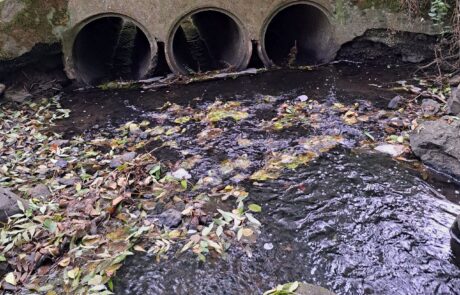 Abflussrohre in einem Bach mit Laub und Steinen