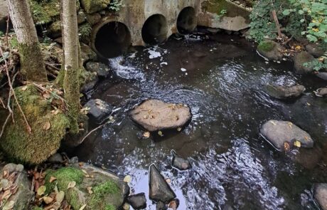 Bach mit Rohren und Steinen im Waldgebiet