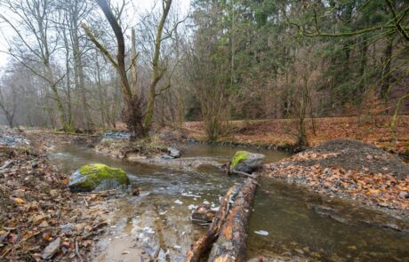 Dietzhölze – Renaturierter Gewässerabschnitt Dietzhölze - Renaturierter Gewässerabschnitt