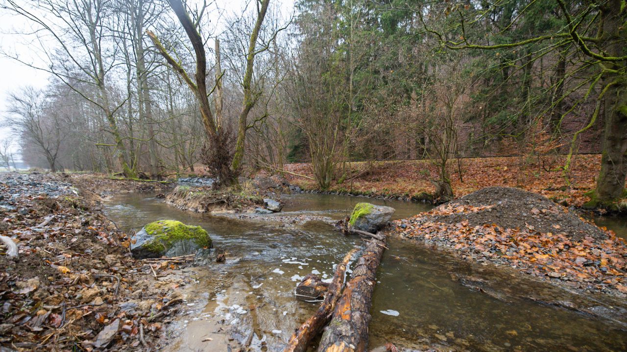 Dietzhölze - Renaturierter Gewässerabschnitt