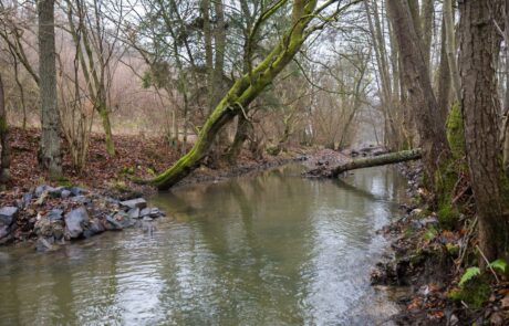 Dietzhölze – Strukturmaßnahmen Dietzhölze - Strukturmaßnahmen