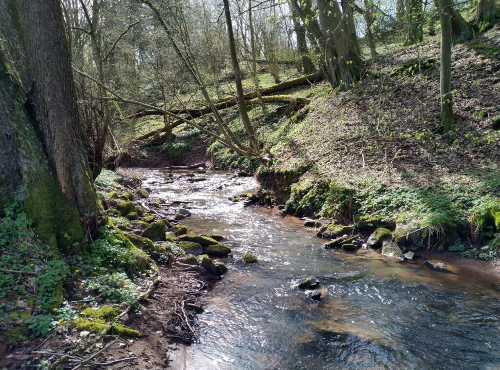 Der Ahlersbach im hessischen Steinau an der Straße war Teil des Renaturierungsprogramms „100 Wilde Bäche für Hessen“. (Quelle: HLG)