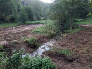 Wälzebach - Im Grunde, Anlage Himmelsteich